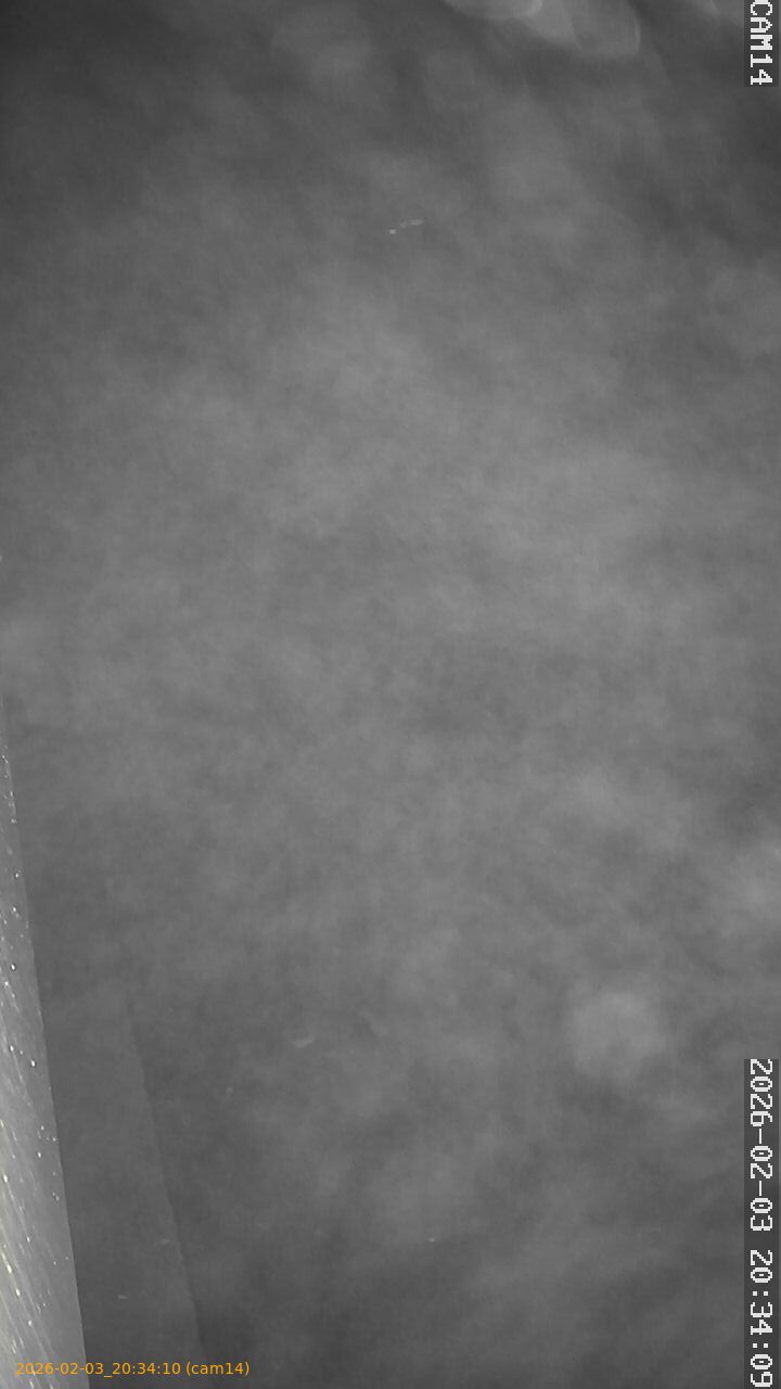 thumbnail_20260203203410