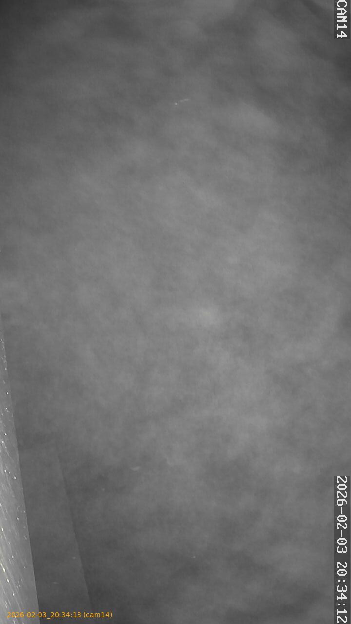 thumbnail_20260203203413