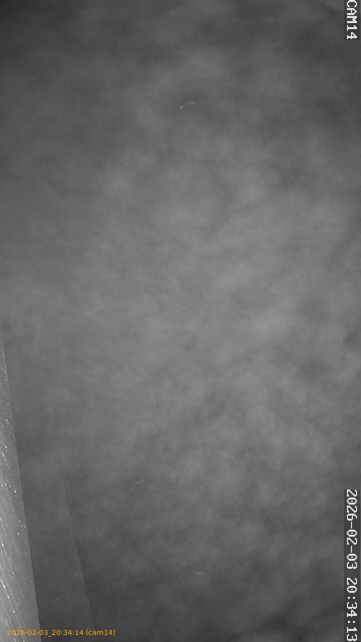 thumbnail_20260203203414