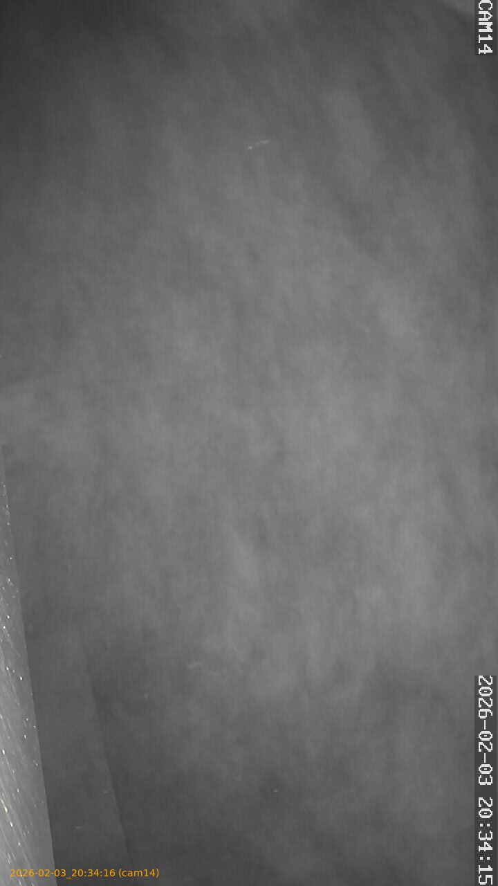 thumbnail_20260203203416