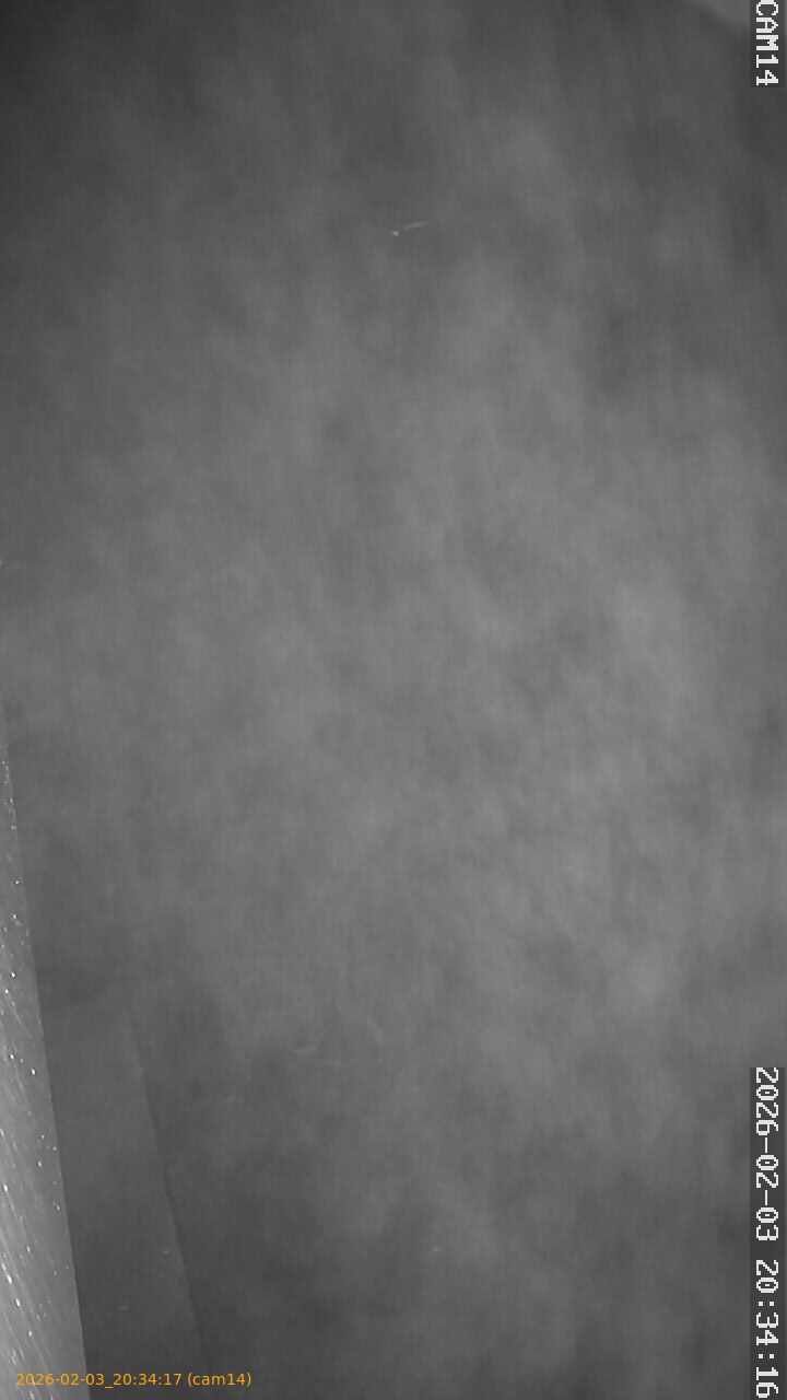 thumbnail_20260203203417