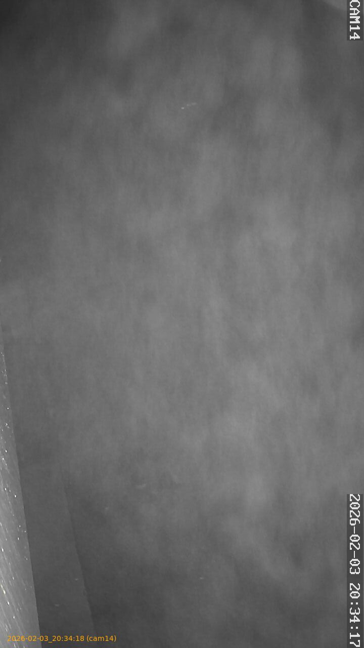 thumbnail_20260203203418