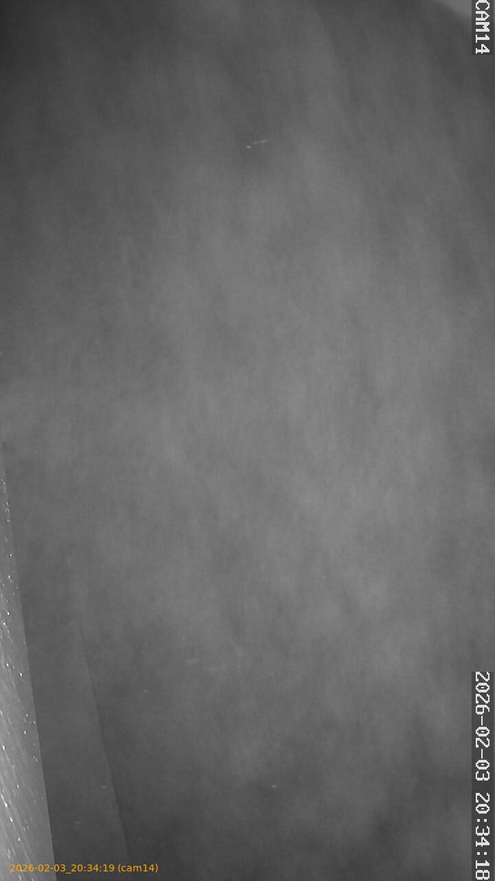 thumbnail_20260203203419