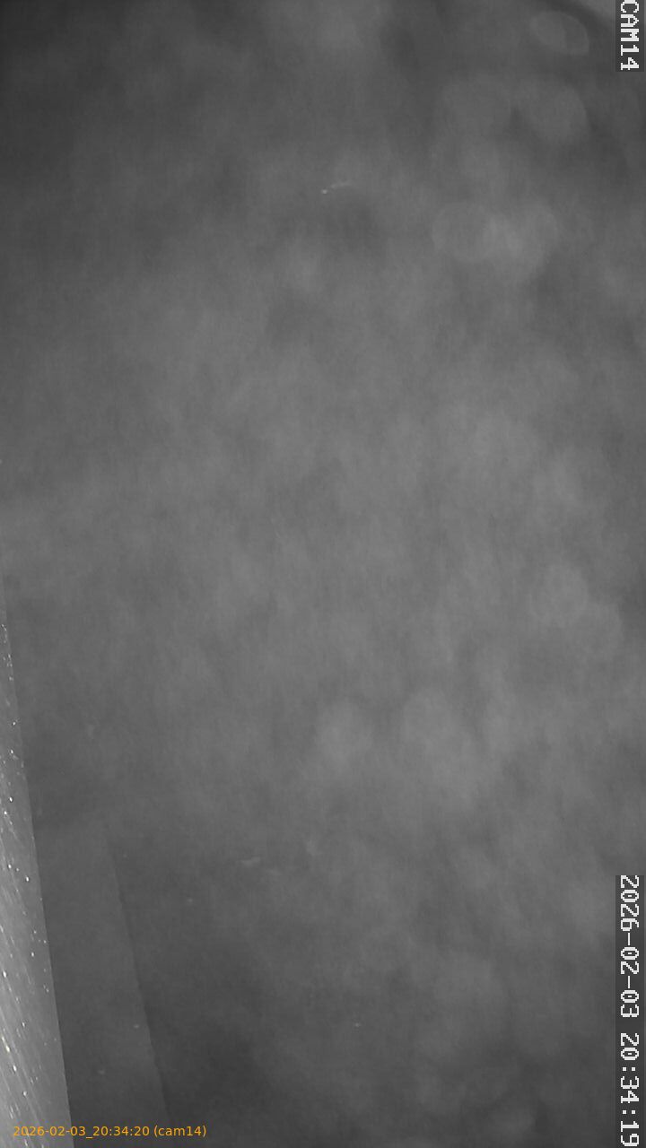 thumbnail_20260203203420