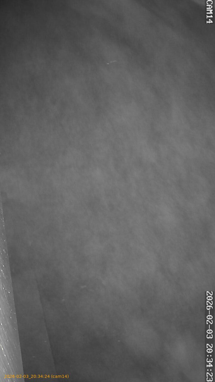 thumbnail_20260203203424