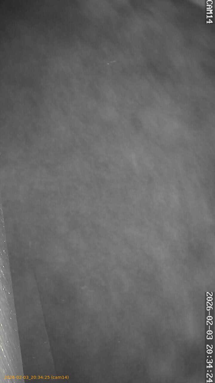 thumbnail_20260203203425