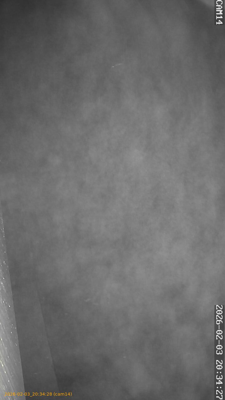 thumbnail_20260203203428