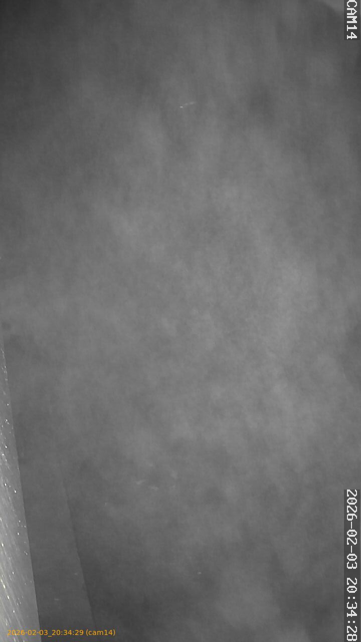 thumbnail_20260203203429