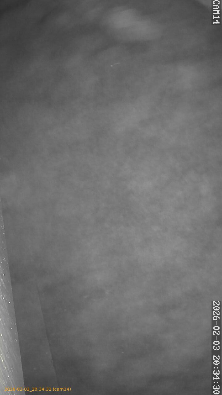 thumbnail_20260203203431