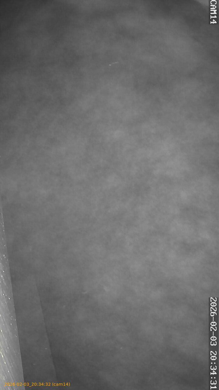 thumbnail_20260203203432