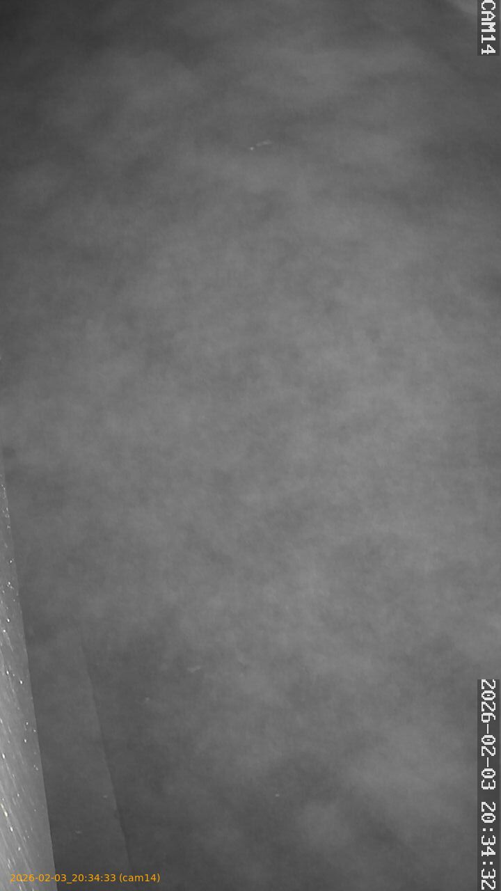 thumbnail_20260203203433