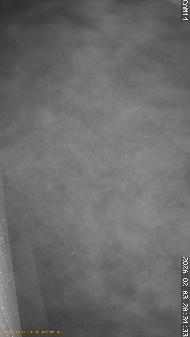 thumbnail_20260203203434