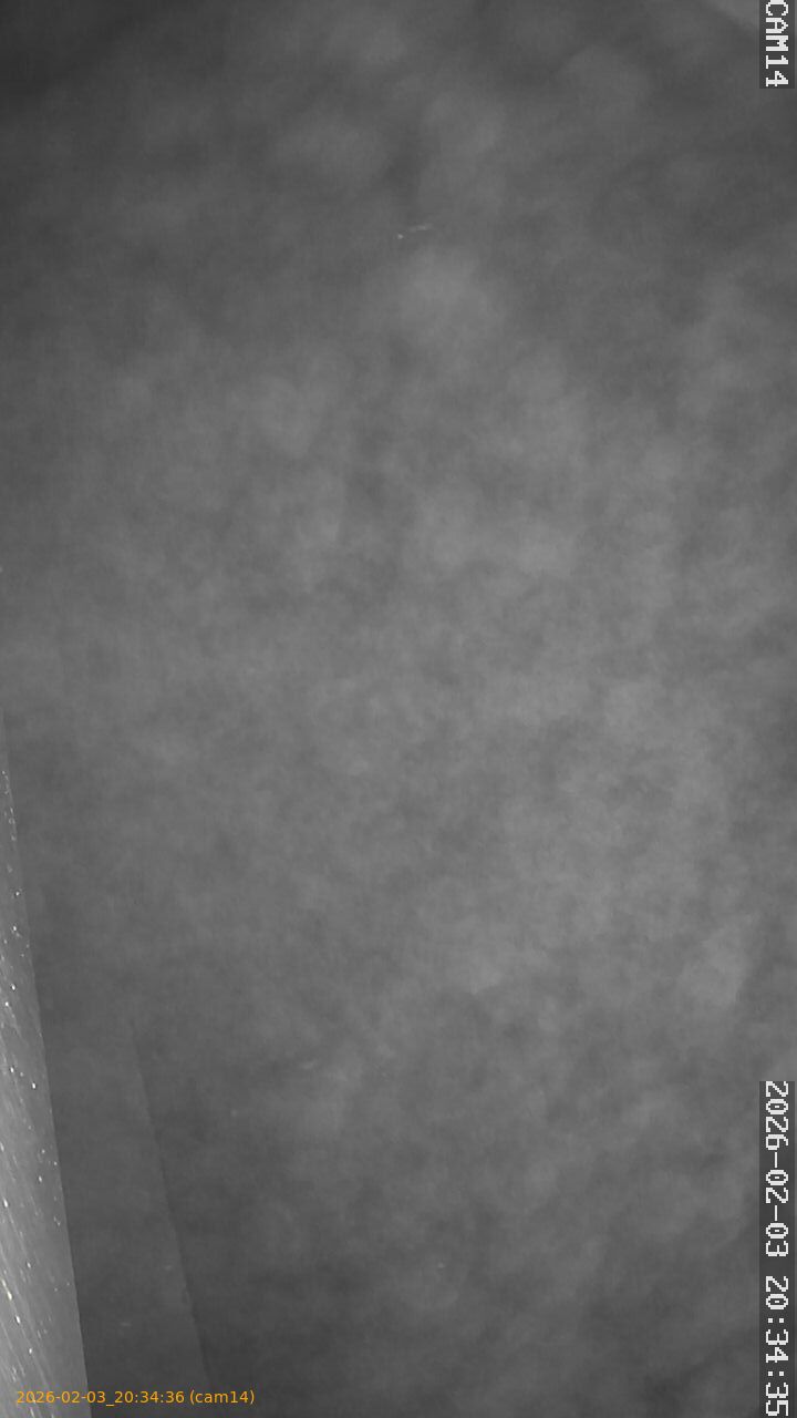 thumbnail_20260203203436