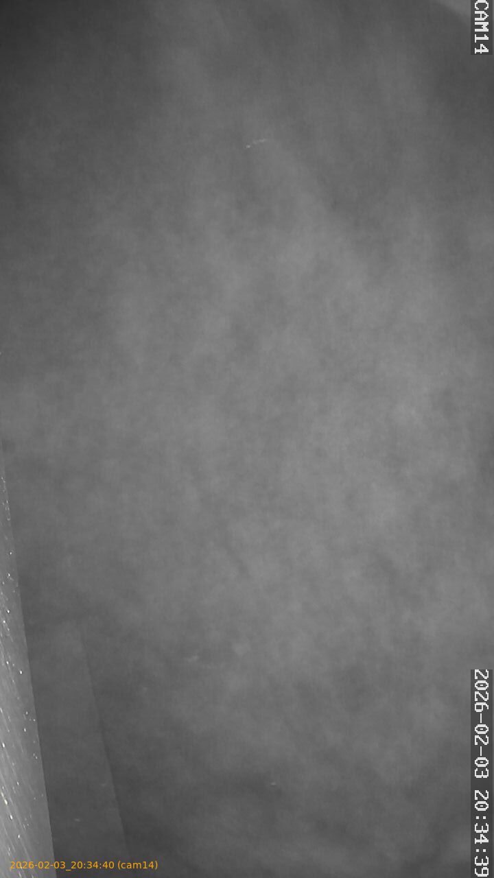 thumbnail_20260203203440