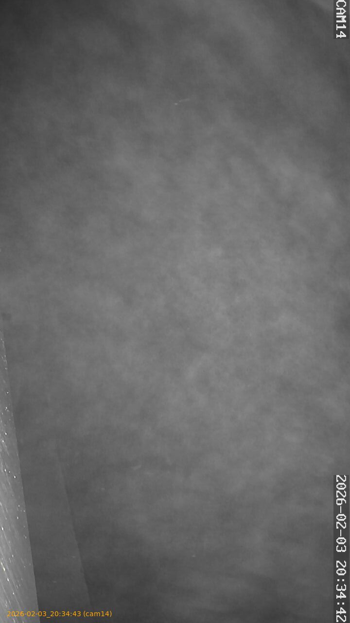 thumbnail_20260203203443