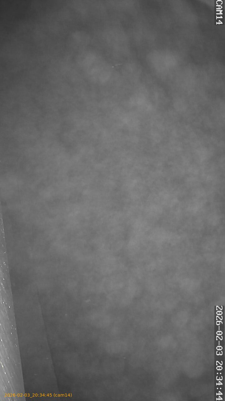 thumbnail_20260203203445