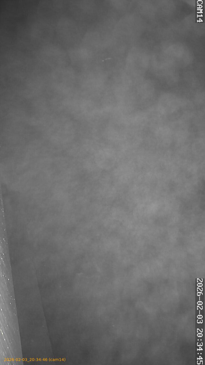 thumbnail_20260203203446