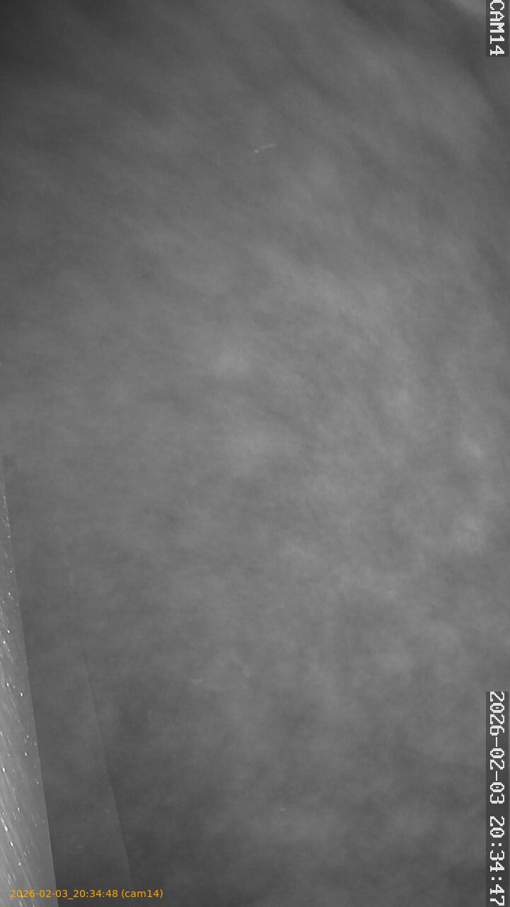 thumbnail_20260203203448