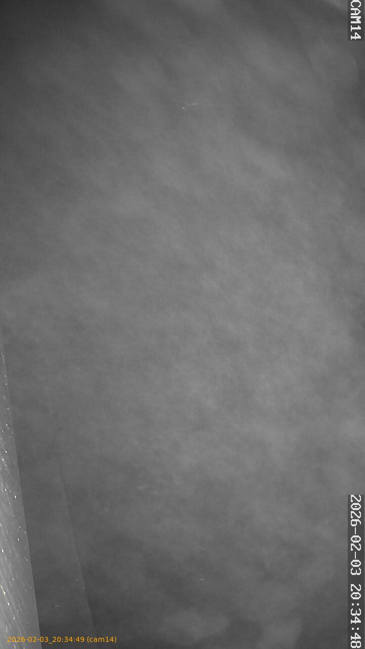 thumbnail_20260203203449