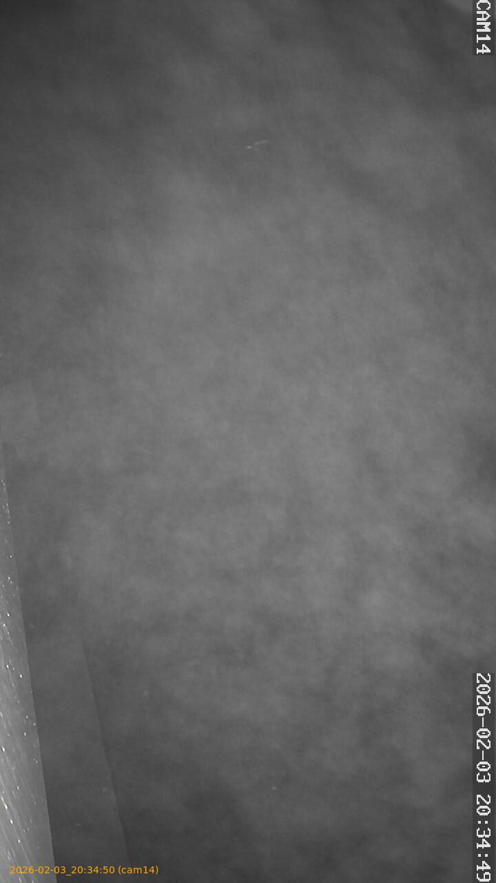 thumbnail_20260203203450