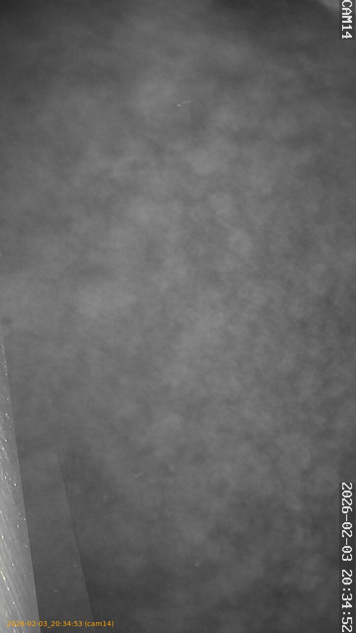 thumbnail_20260203203453