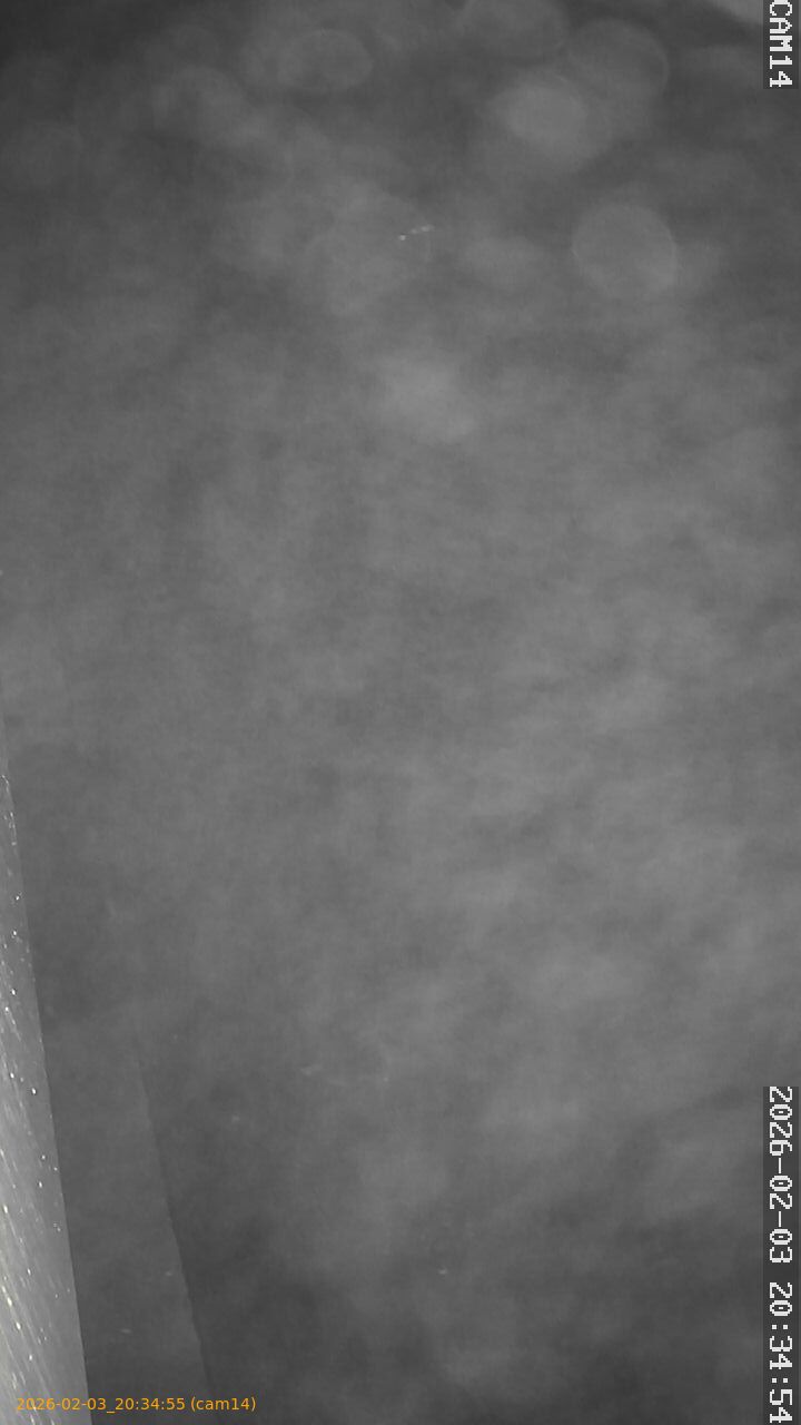 thumbnail_20260203203455