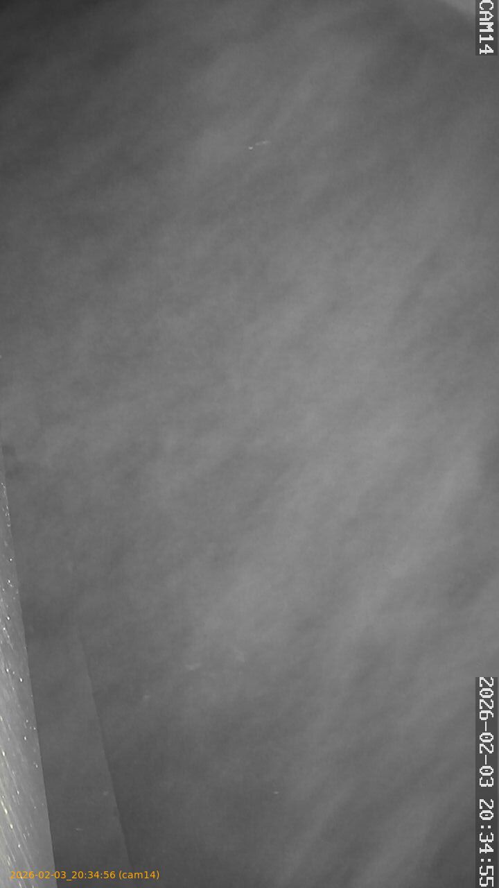 thumbnail_20260203203456