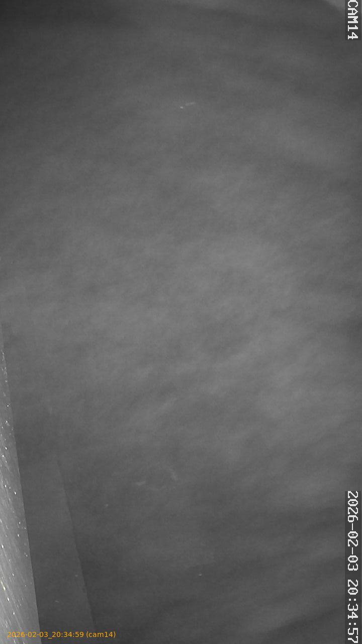 thumbnail_20260203203458