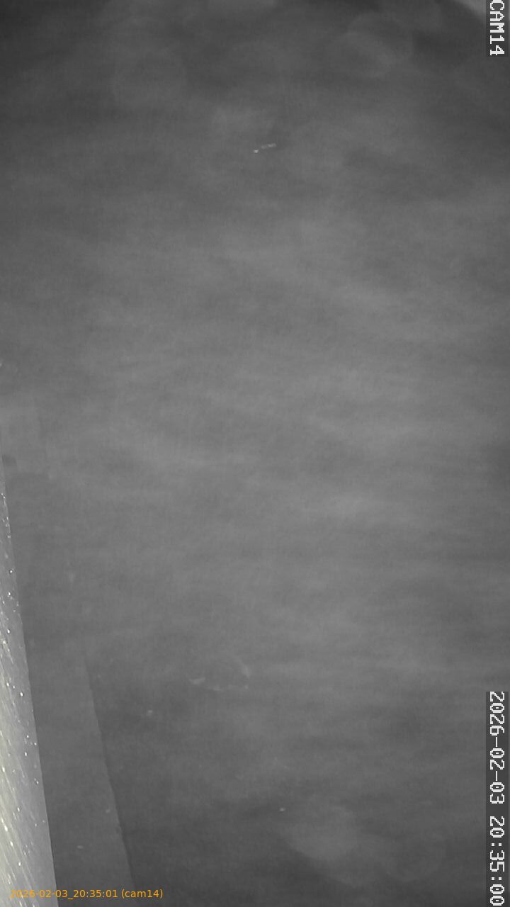 thumbnail_20260203203501