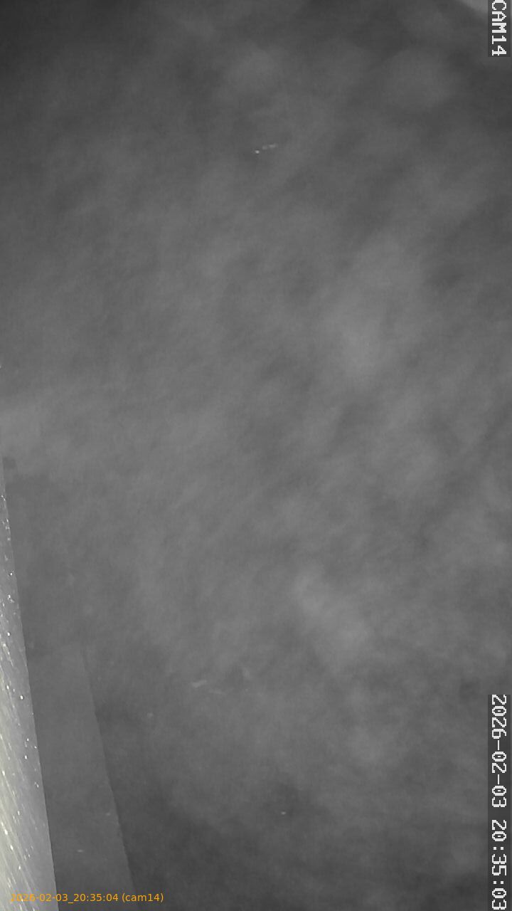 thumbnail_20260203203504