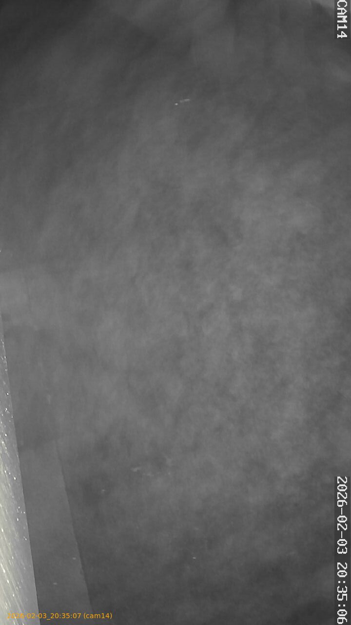 thumbnail_20260203203507