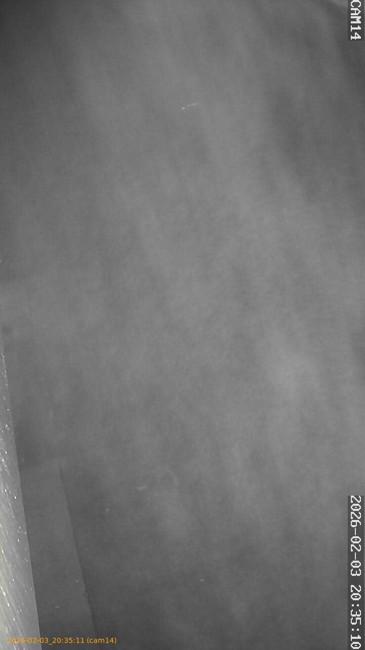 thumbnail_20260203203511