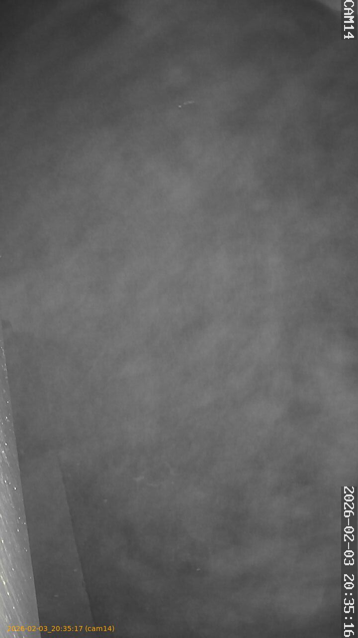 thumbnail_20260203203517