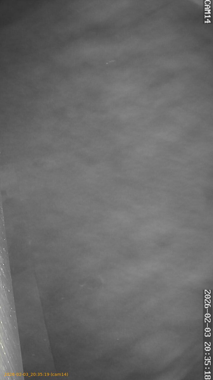 thumbnail_20260203203519