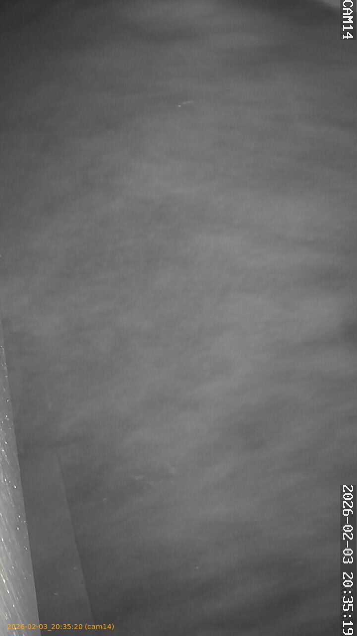 thumbnail_20260203203520