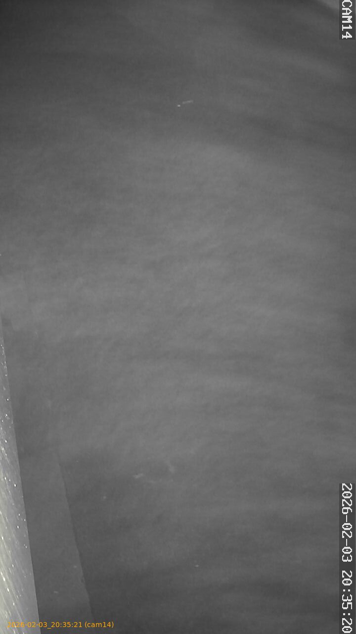 thumbnail_20260203203521