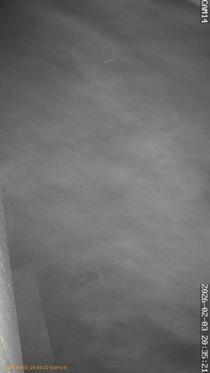 thumbnail_20260203203522