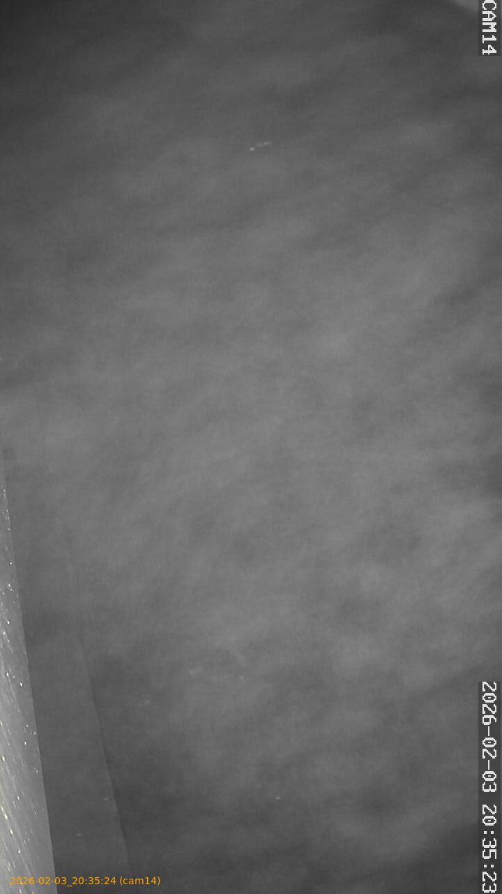 thumbnail_20260203203524