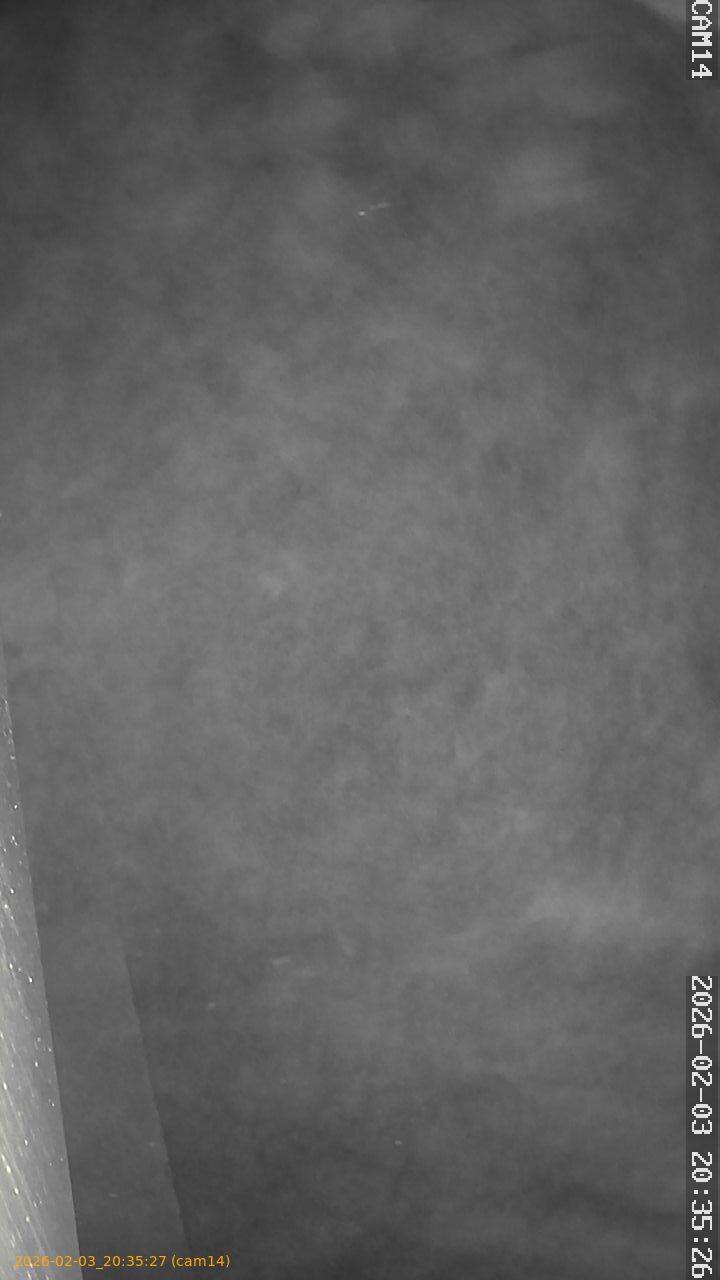 thumbnail_20260203203527