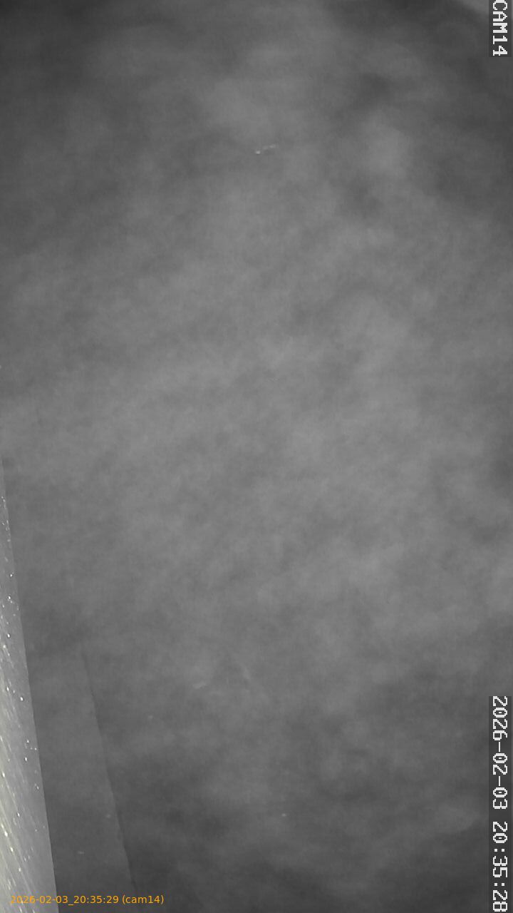 thumbnail_20260203203529