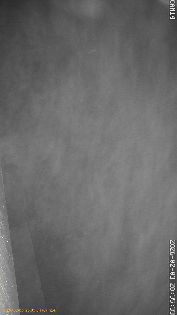 thumbnail_20260203203534