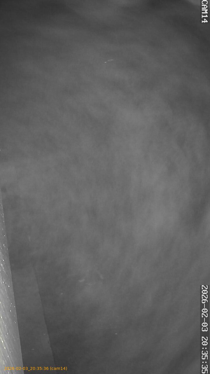 thumbnail_20260203203536