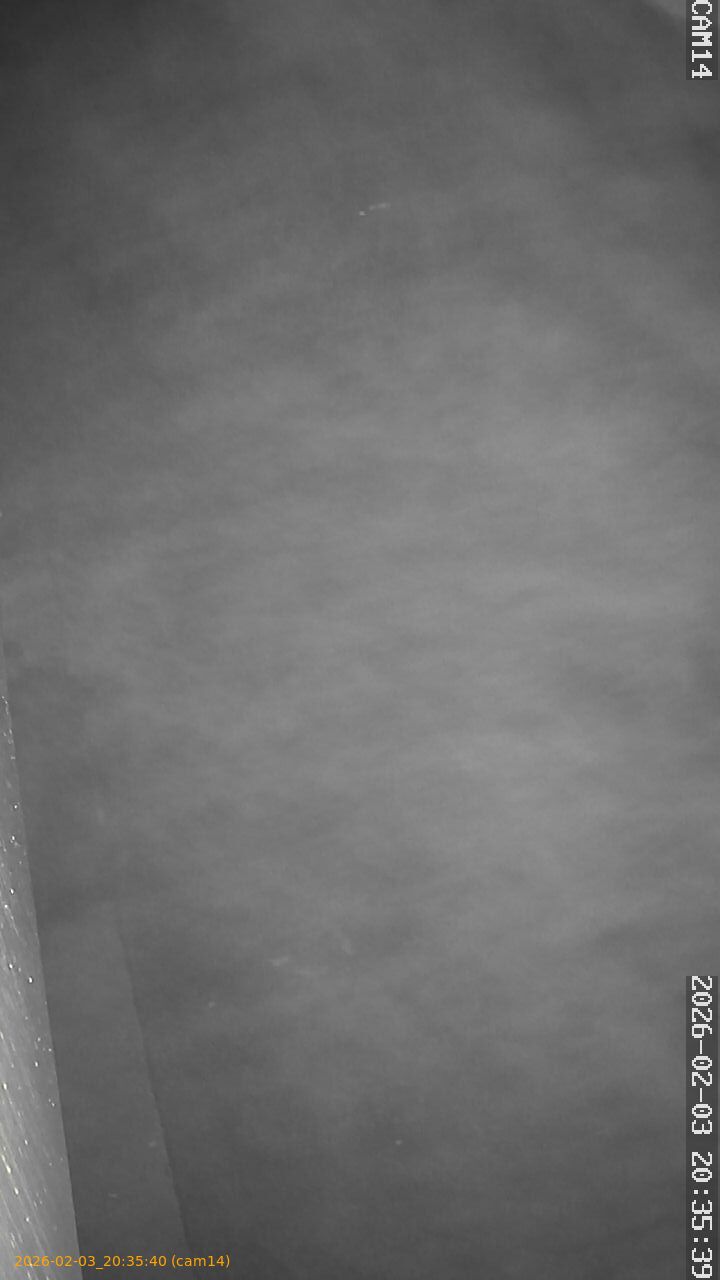 thumbnail_20260203203540