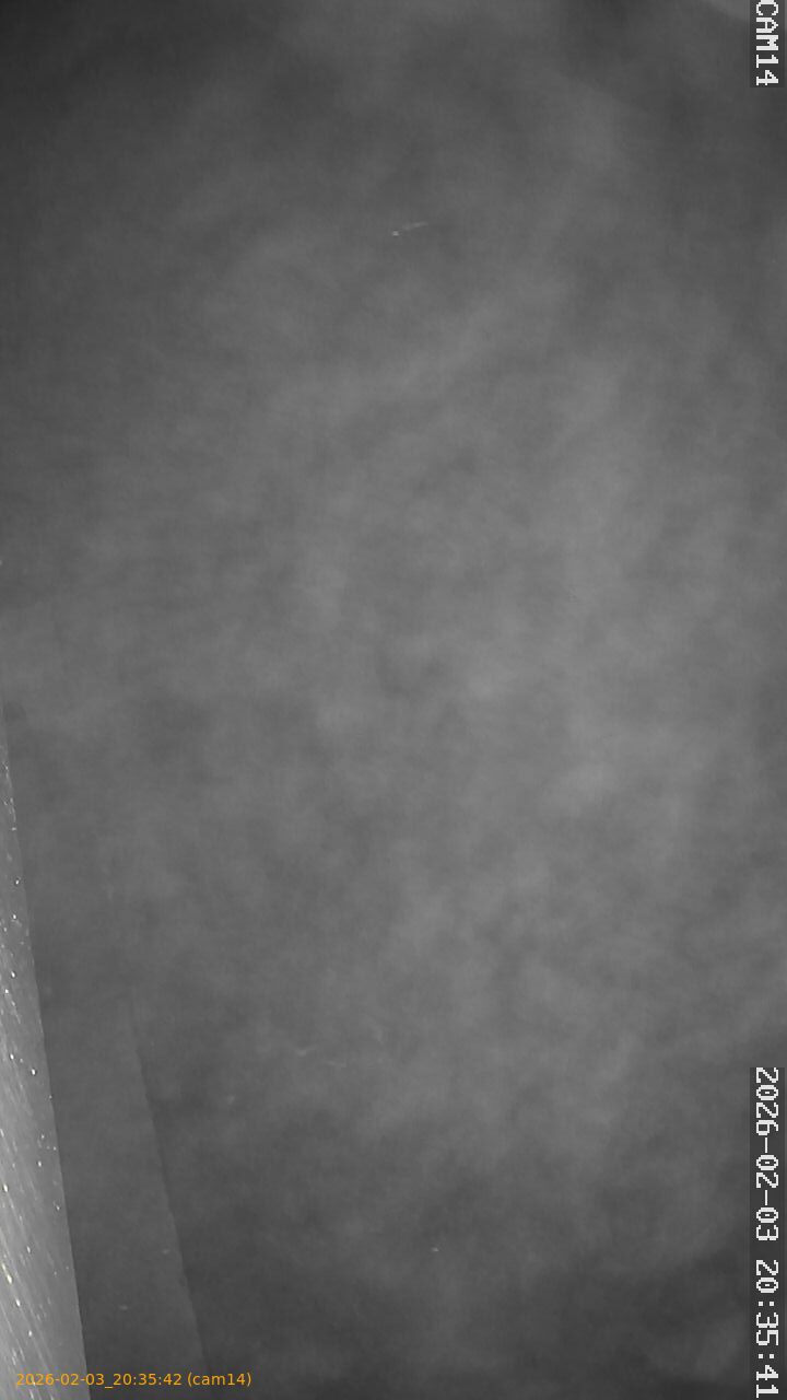 thumbnail_20260203203542