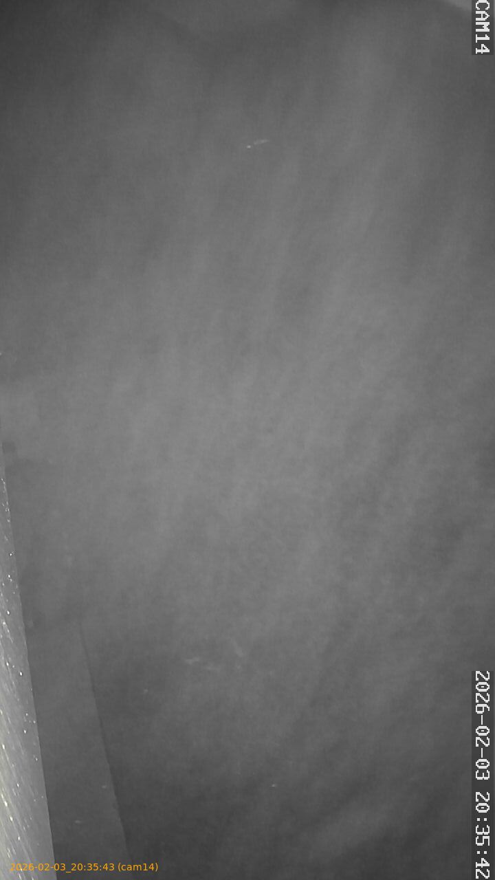 thumbnail_20260203203543