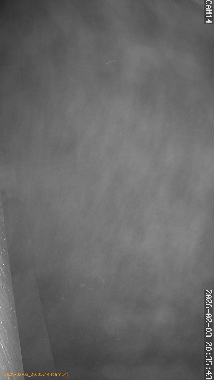 thumbnail_20260203203544