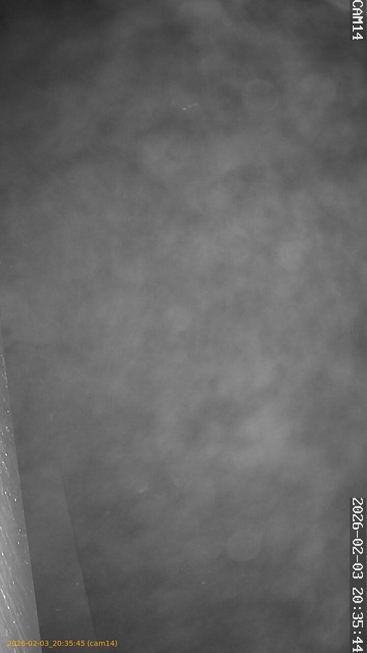 thumbnail_20260203203545