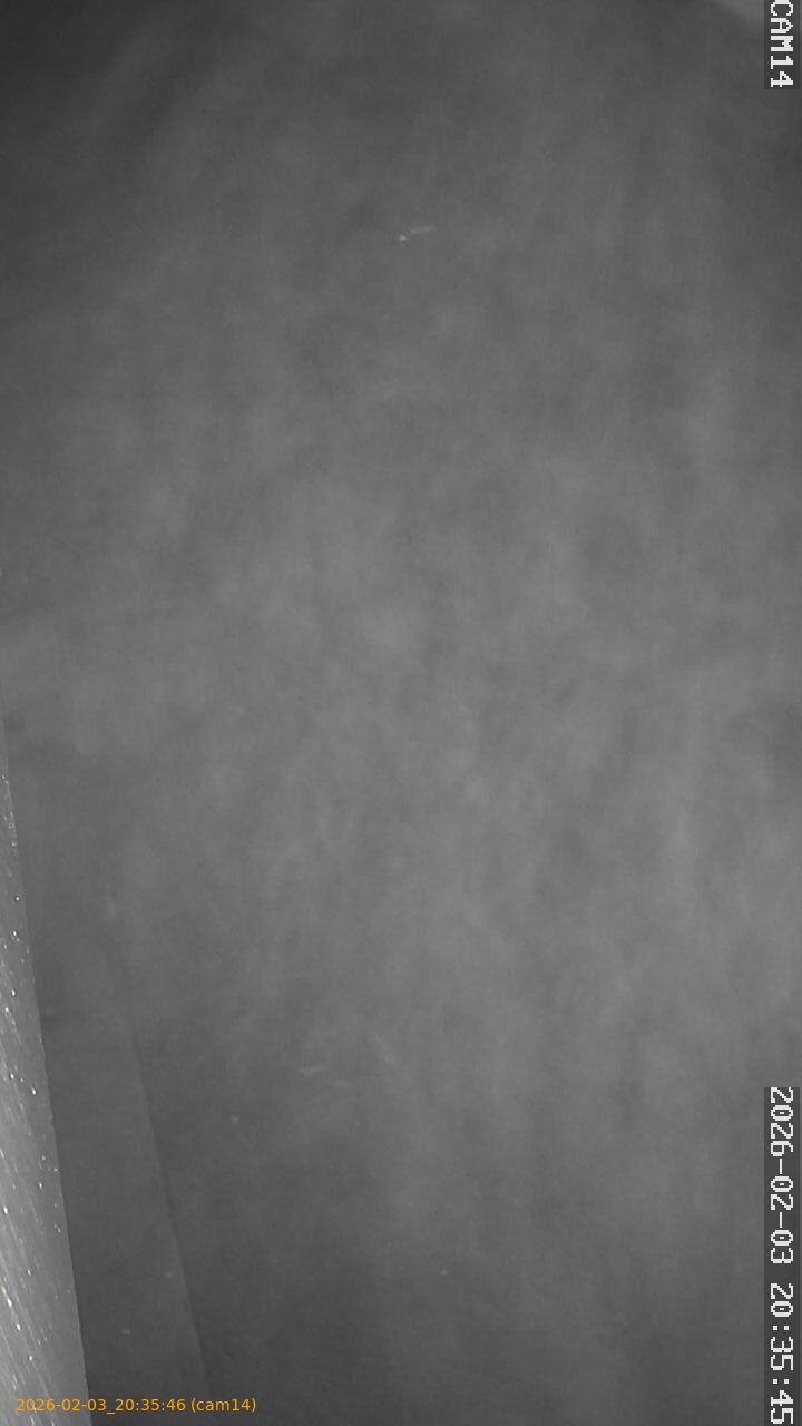 thumbnail_20260203203546