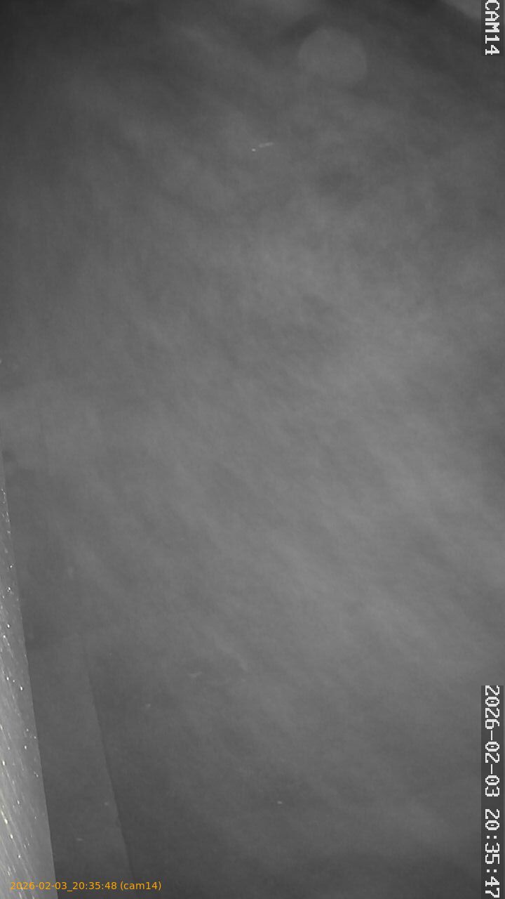 thumbnail_20260203203548