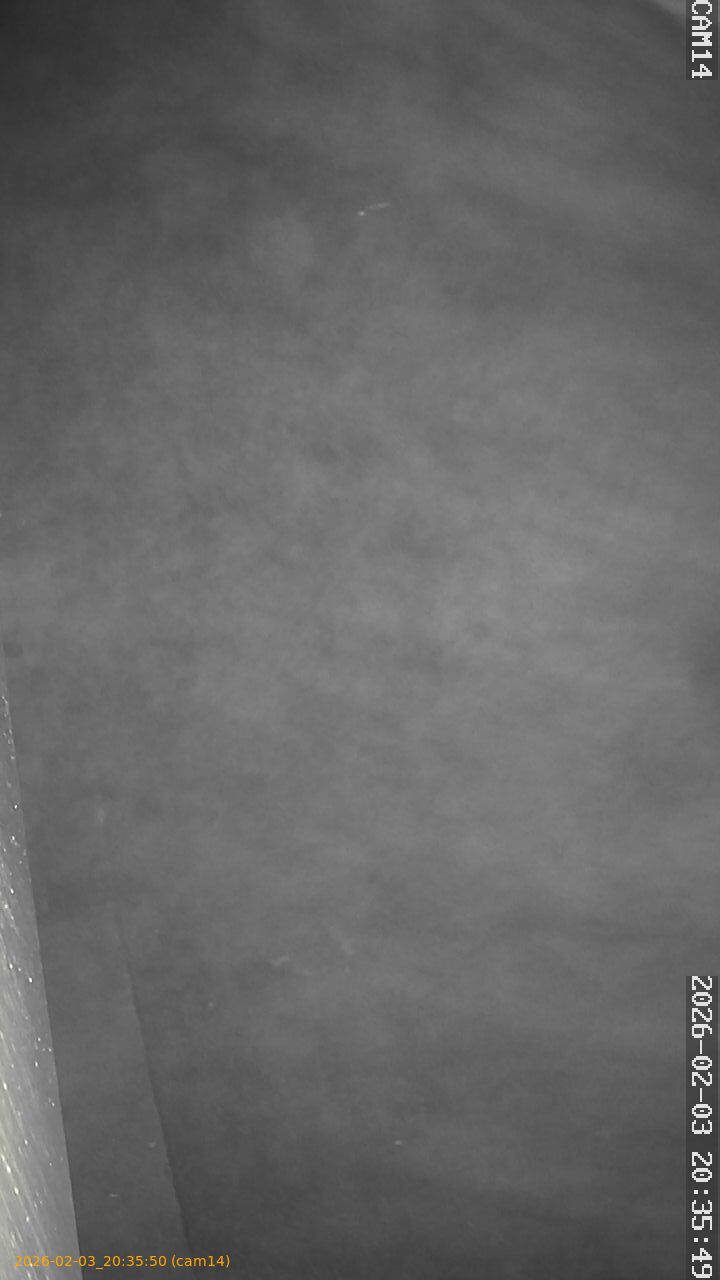 thumbnail_20260203203550